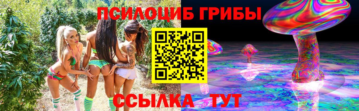 Галлюциногенные грибы Cubensis  Вход с VPN  Новоалександровск 